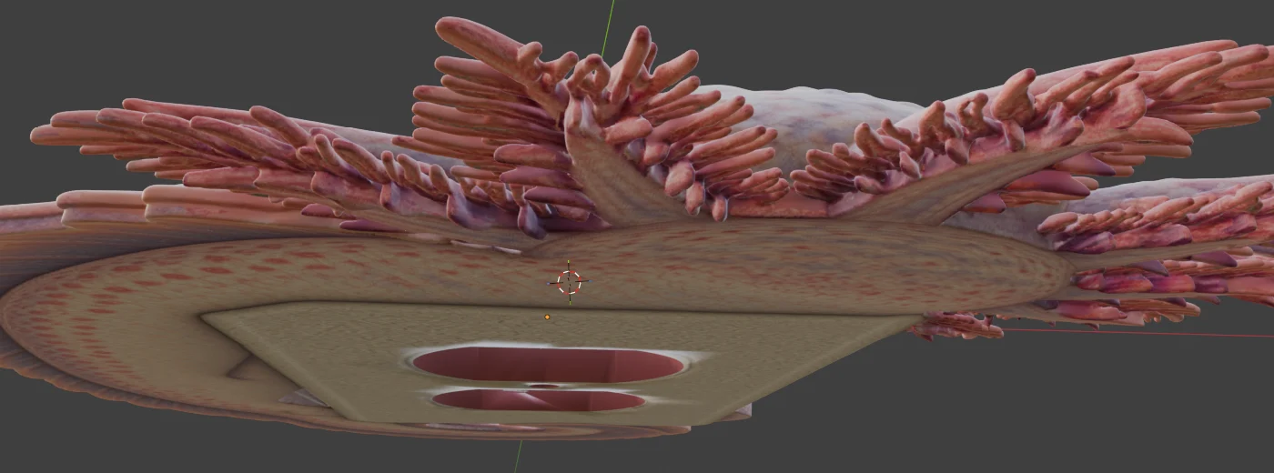 Underside of the original axolotl cover: gill fronds and body float above the bed